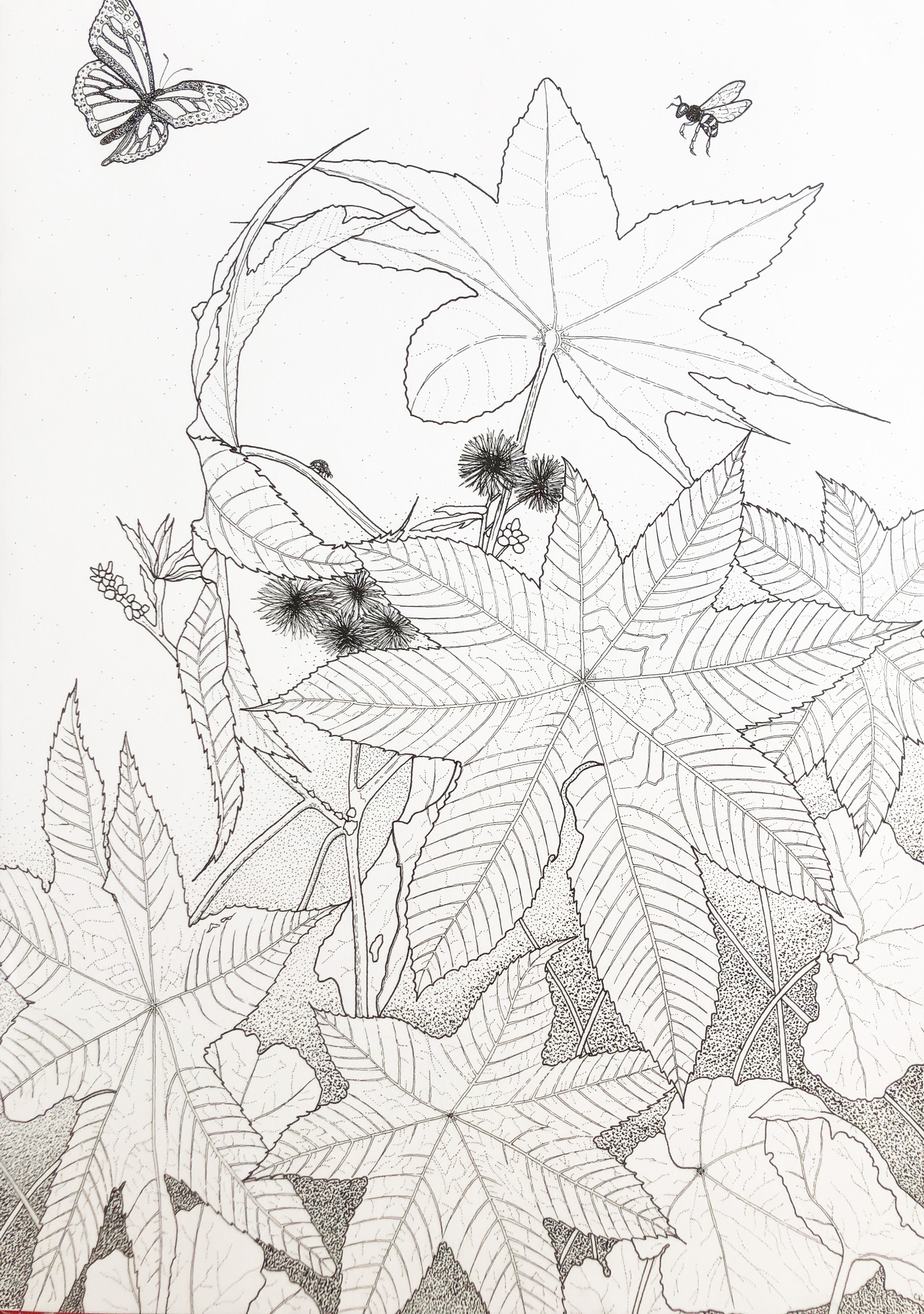 Ink illustration of flowers, leaves, a butterfly and bee